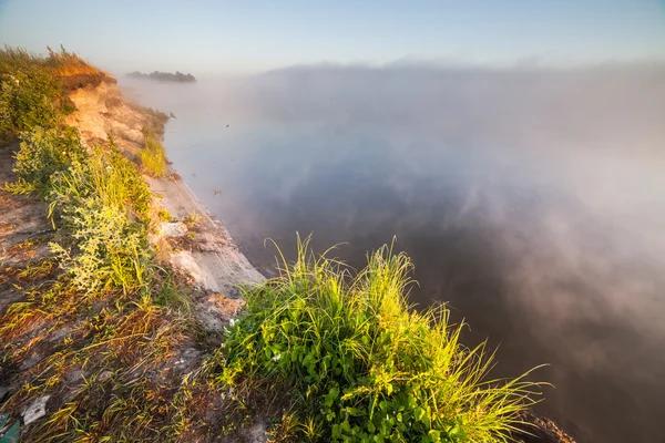 Фантастична туманна річка зі свіжою зеленою травою в сонячних променях . — стокове фото