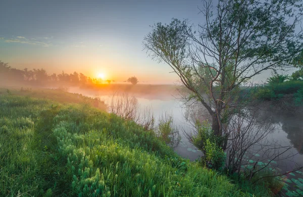 Барвистий захід сонця на річці — стокове фото