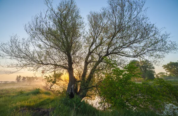 Nehir üzerinde renkli günbatımı — Stok fotoğraf