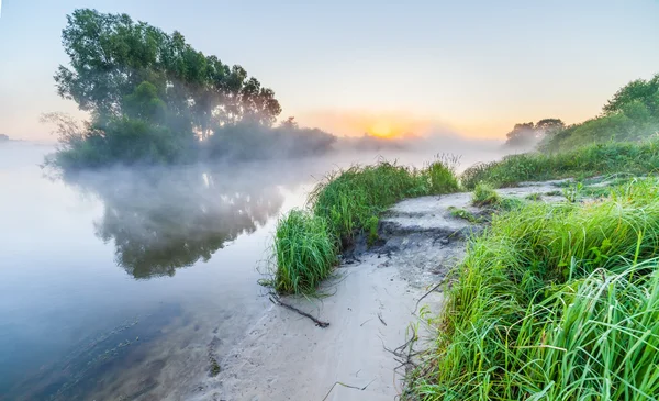 Sommersonnenaufgang über dem Fluss mit Nebel — Stockfoto