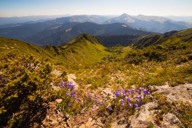 Karpat Dağları güzel manzara