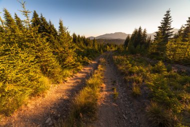 Karpat Dağları güzel manzara