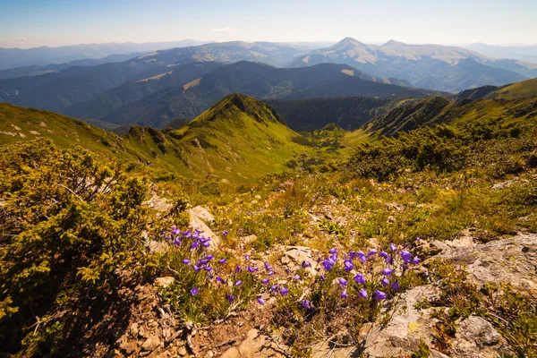 Krásné hory krajina v Karpatech — Stock fotografie