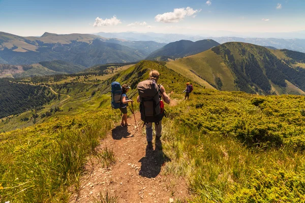 Un grupo de personas con mochilas caminando por el camino . — Foto de Stock