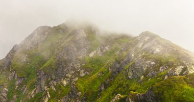 Sisli rüya gibi manzara. 