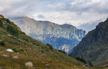 Türkiye'de yeşil dağ
