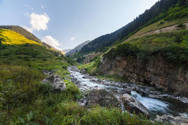 Flod i berget dalen. Naturliga sommar landskap — Stockfoto