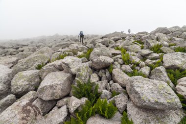 Sisin içinde büyük kayalar