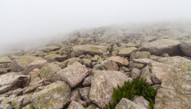 Sisin içinde büyük kayalar