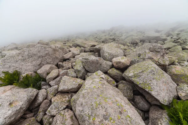 Large boulders in fog — Stock Photo, Image
