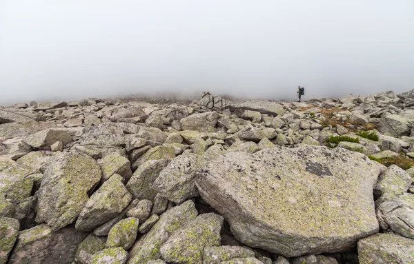 Große Felsbrocken im Nebel — Stockfoto