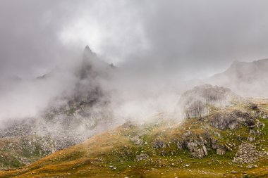 Sis ve bulut dağ vadisi manzarası
