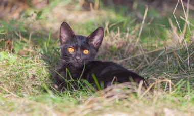 Küçük kat açık havada yaz gün dinlenme