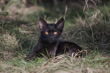 Küçük kat açık havada yaz gün dinlenme