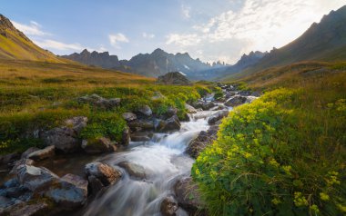 Yazın güzel dağ nehri manzarası