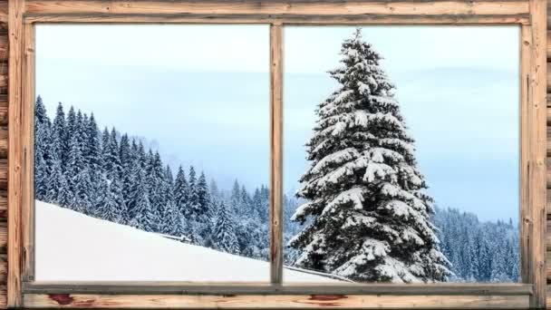 Forte chute de neige dans une zone boisée vue par la fenêtre — Video