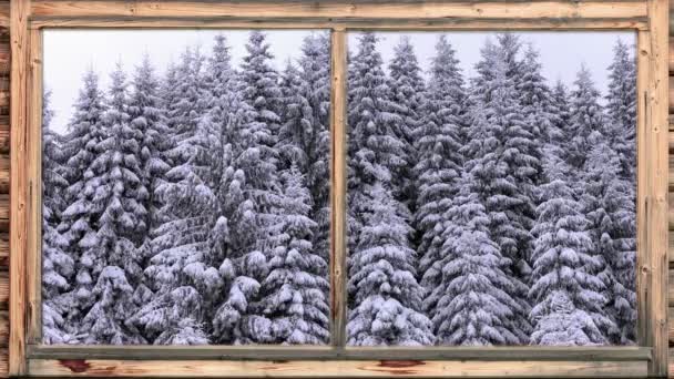 Nieve pesada cayendo en la zona boscosa vista a través de la ventana — Vídeos de Stock