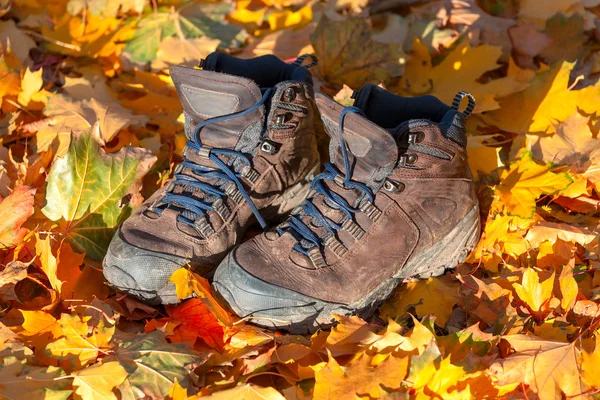 Yürüyüş botları, iyi yıpranmış ve orman katta çamurlu