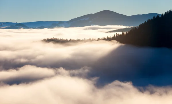 The sea of fog with forests as foreground — Stock Photo, Image
