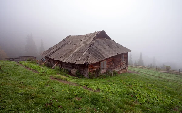 Samotné chatě v lese — Stock fotografie