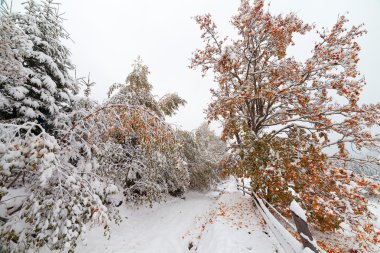 İki mevsim - kış ve sonbahar sahne Park