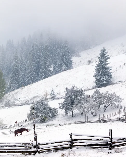 Mistig bos in de winter — Stockfoto