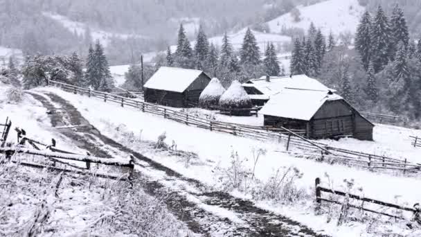 Śnieg pada w lesie — Wideo stockowe