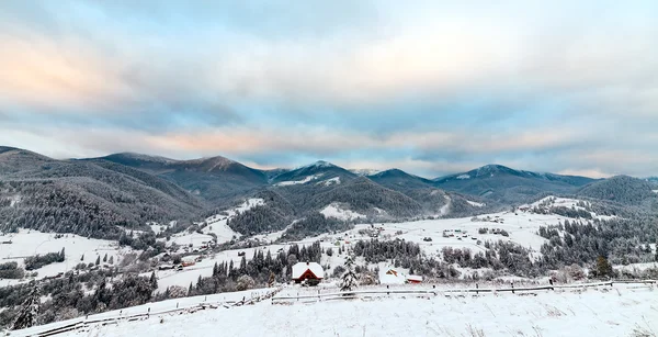 Bosque nublado de abeto cubierto de nieve en paisaje de invierno . —  Fotos de Stock