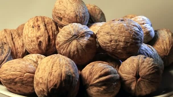 Vlašské ořechy studio natáčení — Stock video