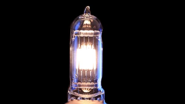 Halogenlampe vorhanden. echtes Glühbirnenflackern. Wolframfaden der Glühbirne. — Stockvideo
