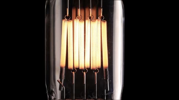 할로겐 램프입니다. 진짜 빛 전구 깜박이입니다. 텅스텐 필 라 멘 트 전구의. — 비디오