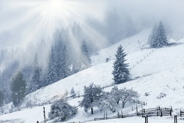 Hermoso paisaje de montañas de invierno con bosque de abeto nevado — Foto de Stock