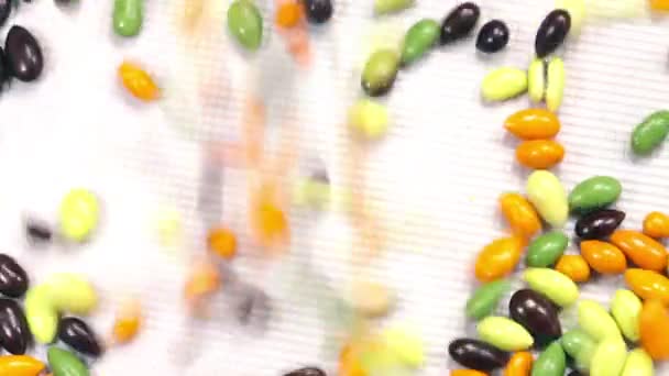 Sunflower seeds seeds — Stock Video