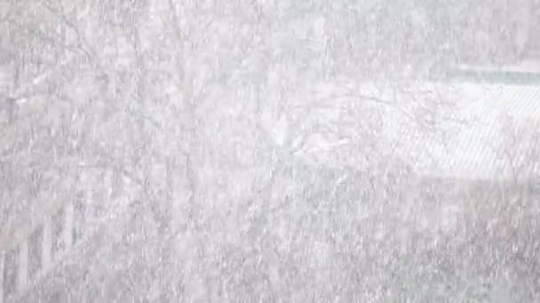 Contexte de chutes de neige soufflant rapidement dans le blizzard hivernal — Video