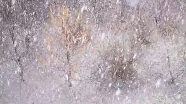 Фон снегопада быстро дует в зимнюю метель — стоковое видео