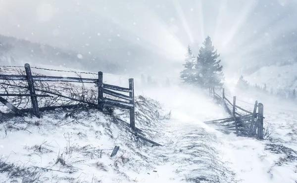 雪に覆われた木々の美しい冬の風景 — ストック写真