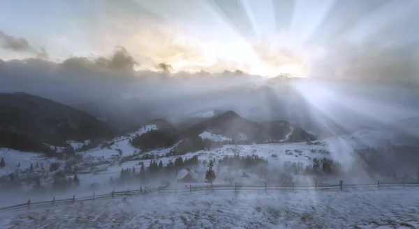 Beau paysage hivernal avec des arbres enneigés — Photo