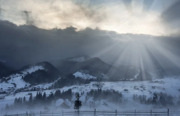 Beau paysage hivernal avec des arbres enneigés — Photo