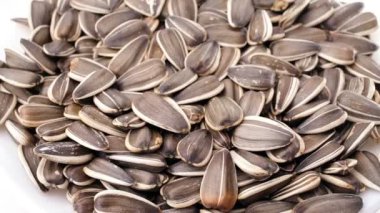 Ayçiçeği tohumu tohumları