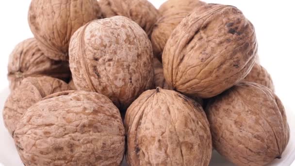 Walnuts  walnut walnut — Stock Video