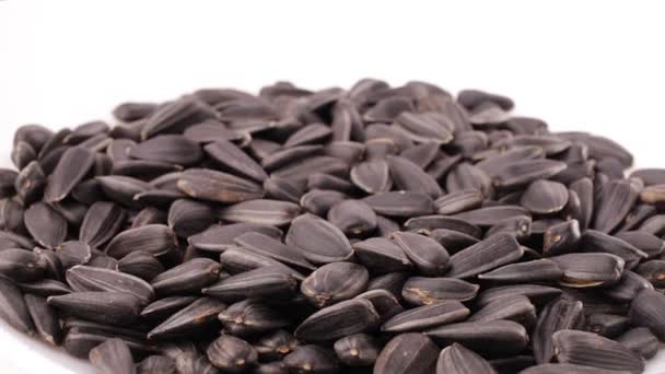 Sunflower seeds seeds — Stock Video