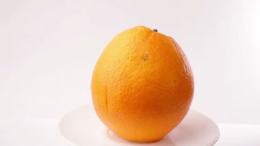 portakal yakın çekim