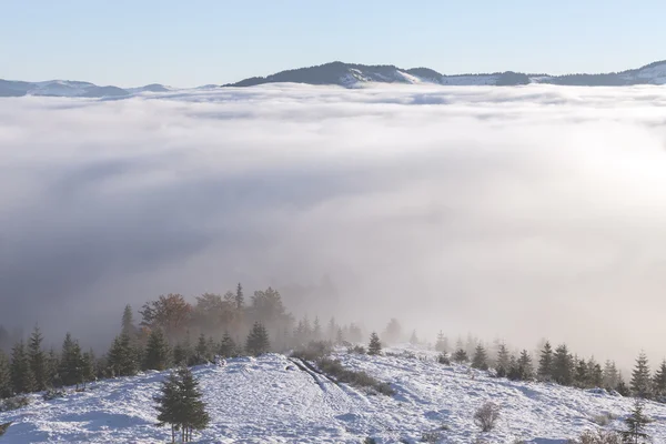 Nebbia sulla montagna — Foto Stock