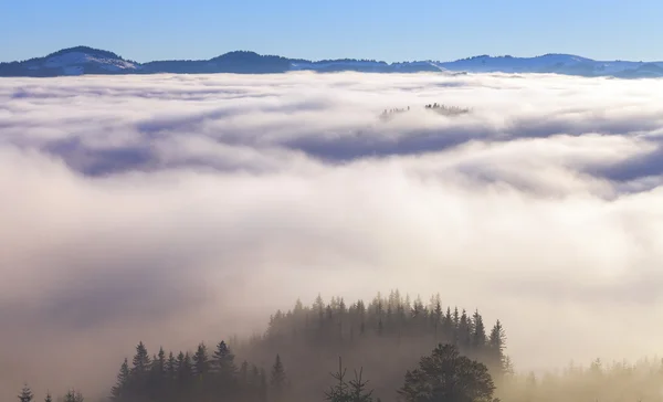 Nebel auf dem Berg — Stockfoto