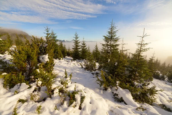 Fog on the mountain — Stock Photo, Image