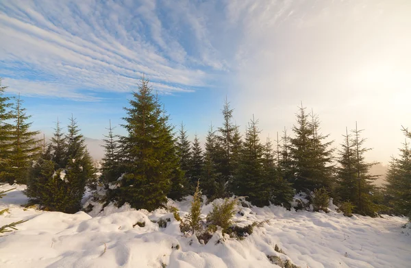 Nebel auf dem Berg — Stockfoto