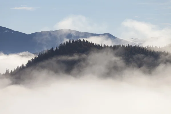 Mlha na hoře — Stock fotografie