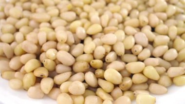 Sedir fındık fındık