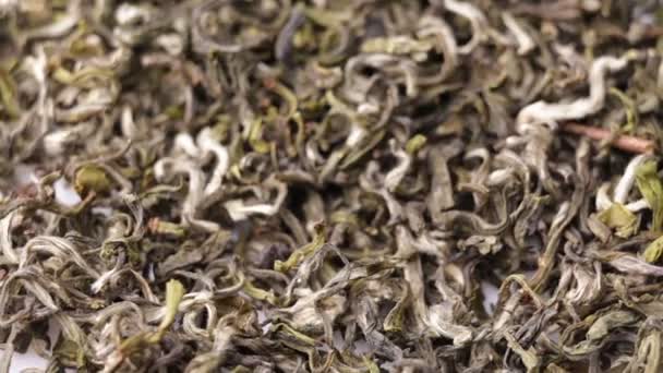 Zöld tea levelek közelről forgás — Stock videók