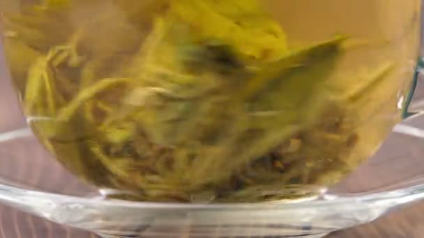 Las hojas de té verde y las partículas de té. Macro tiro — Vídeo de stock